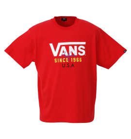 VANS FLV USA半袖Tシャツ