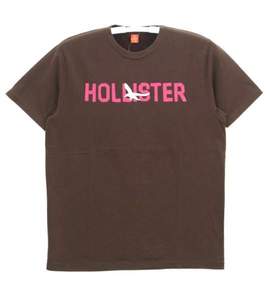 大きいサイズ メンズ HOLLISTER (ホリスター) 半袖Tシャツ