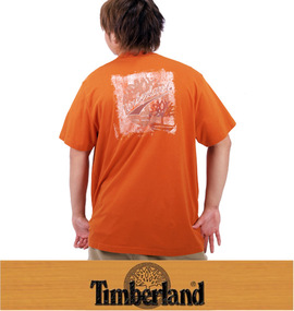 TIMBERLAND Tシャツ