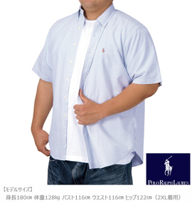 大きいサイズ メンズ RALPH LAUREN (ラルフローレン) ボタンダウンシャツ