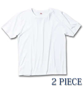 大きいサイズ メンズ Levi's 2Pドライフライス半袖Tシャツ