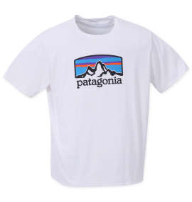 patagonia 半袖Tシャツ