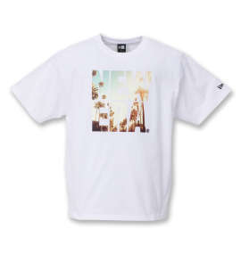 NEW ERA Landscape半袖Tシャツ