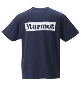 大きいサイズ メンズ Marmot (マーモット) バックスクエアロゴ半袖Tシャツ