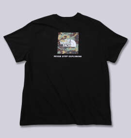 THE NORTH FACE 半袖Tシャツ