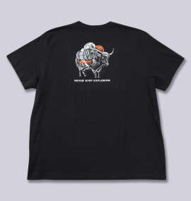 THE NORTH FACE 半袖Tシャツ